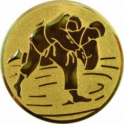 Жетон №36 (Дзюдо, диаметр 50 мм, цвет золото)