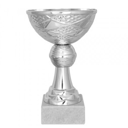 Кубок №5585 (Высота 12 см)