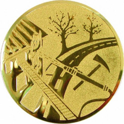 Жетон №79 (Пожарный спорт, диаметр 25 мм, цвет золото)