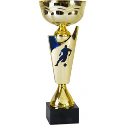 Кубок №5294 (Футбол, высота 31 см, размер таблички 65x35 мм)