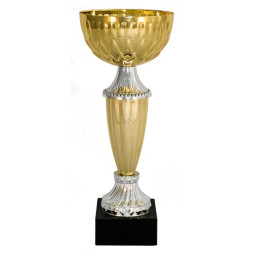 Кубок №4194 (Высота 23 см, цвет золото-серебро)
