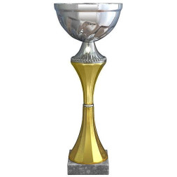 Кубок №2841 (Высота 34 см, цвет серебро-золото, размер таблички 70x15 мм)