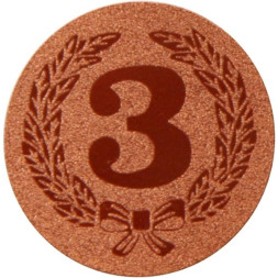 Жетон №89 (3 место, диаметр 25 мм, цвет бронза)