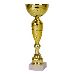 Кубок №242 (Высота 25 см, цвет золото, размер таблички 55x20 мм)