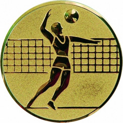 Жетон №27 (Волейбол, Мужчины, диаметр 50 мм, цвет золото)