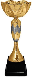 Кубок №432 (Высота 28 см, цвет золото-серебро, размер таблички 55x30 мм)