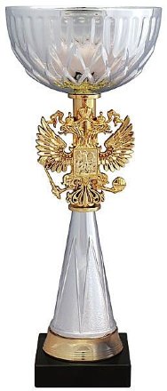 Кубок KB 8509 C (H-27 см, D-100 мм)