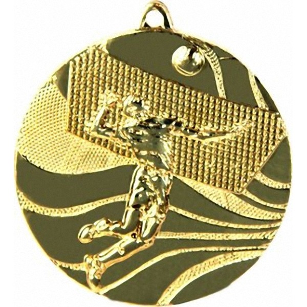 Медаль №119 (Волейбол, диаметр 50 мм, металл, цвет золото. Место для вставок: обратная сторона диаметр 45 мм)