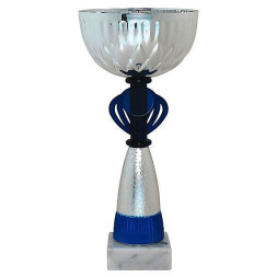 Кубок №451 (Высота 24 см, цвет серебро-синий, размер таблички 55x15 мм, диаметр вставки 25 мм)