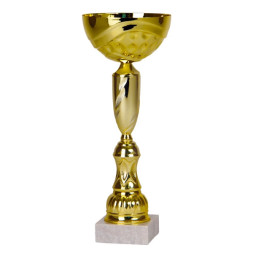 Кубок №243 (Высота 22 см, цвет золото, размер таблички 45x15 мм)