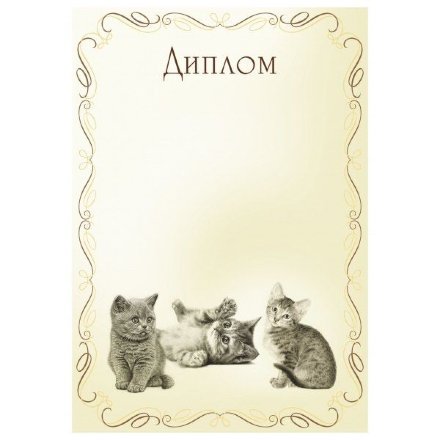 Диплом  00573 Коошки