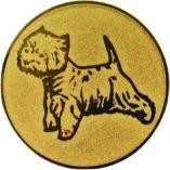 Жетон №631 (Выставки собак (собаководство), диаметр 50 мм, цвет золото)