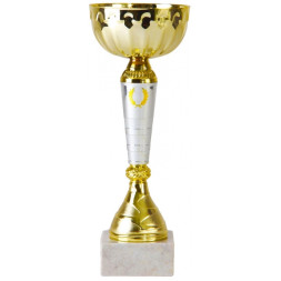 Кубок №4185 (Высота 24 см, цвет золото-серебро, размер таблички 55x25 мм)