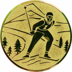 Жетон №46 (Беговые лыжи, диаметр 50 мм, цвет золото)