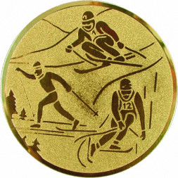 Жетон №563 (Лыжный спорт, диаметр 25 мм, цвет золото)