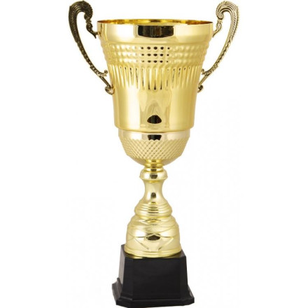Кубок 2009C (53,5см) D-200