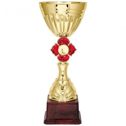 Кубок №5669 (Высота 30 см)