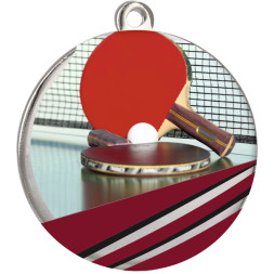 Медаль №2269 (Настольный теннис, диаметр 70 мм, металл, цвет серебро)