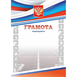 Спортивная грамота №246