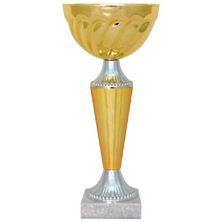 Кубок KB 8018 B (H-25,5 см, D-100 мм)
