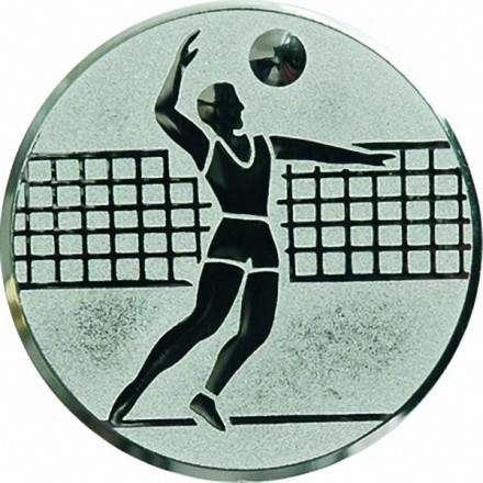 эмблема D1-A6/S волейбол (D-25 мм)
