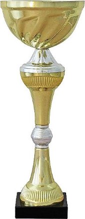 Кубок KB 8037 C (H-27 см, D-100мм)