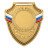 Медаль MZP 557-65/GM (56х65мм, D-25мм, s-2мм) сталь