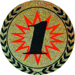 Жетон №4 (1 место, диаметр 25 мм, цвет голограмма)