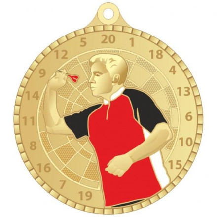 Медаль №3673 (Дартс, диаметр 55 мм, металл)