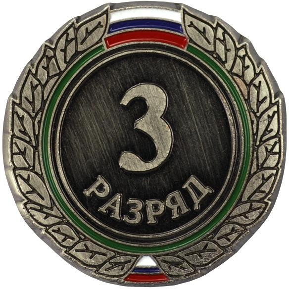 Значок 3-ий взрослый разряд