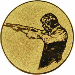 Жетон №587 (Стрельба, диаметр 25 мм, цвет золото)