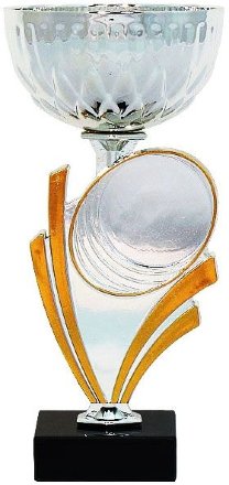 Кубок KB 8432 A (H-24,5 см, D-120 мм)