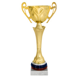 Кубок №4138 (Высота 31 см, цвет золото-триколор рф, размер таблички 70x15 мм)