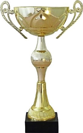 Кубок KB 8057 B (H-31,5 см, D-120 мм)