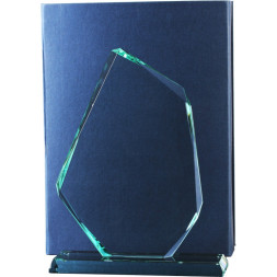 Награда стеклянная GL0002 250х190мм(10) футляр в комплекте