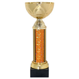 Кубок №294 (Высота 29 см, цвет золото-оранжевый, размер таблички 60x25 мм)