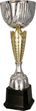 Кубок 3127 D (H- 31 см, D-100 мм)