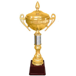Кубок №4302 (Высота 46 см, цвет золото-серебро, размер таблички 80x40 мм)