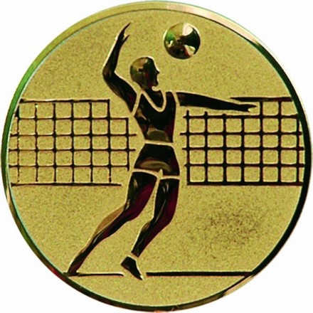 эмблема D2-A6/G волейбол (D-50 мм)