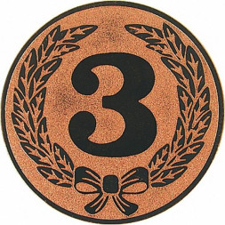 Жетон №10 (3 место, диаметр 50 мм, цвет бронза)